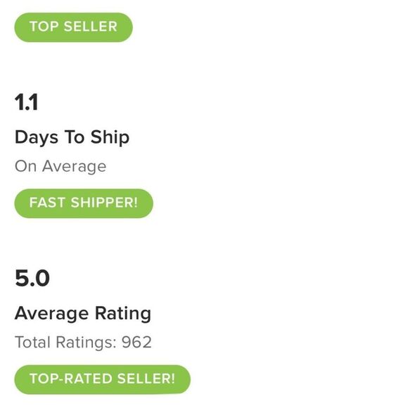 Reformation Maxi Dress Floor Length Gown Size 2 • NEW WITH TAGS • - Picture 12 of 12